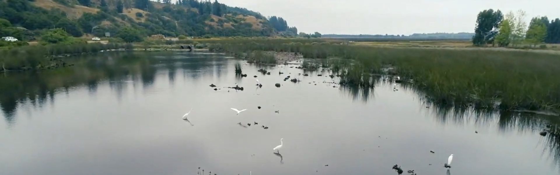 Humedales de Putú